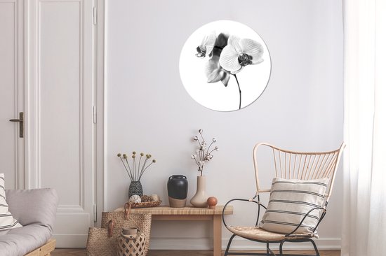 WallCircle - Wandcirkel ⌀ 60 - Orchideebloem tegen een witte achterrond - zwart wit - Ronde schilderijen woonkamer - Wandbord rond - Muurdecoratie cirkel - Kamer decoratie binnen - Wanddecoratie muurcirkel - Woonaccessoires