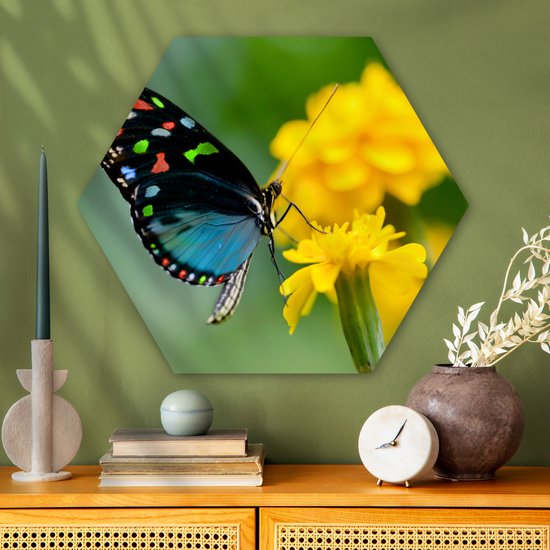 Hexagon wanddecoratie - Kunststof Wanddecoratie - Hexagon Schilderij - Vlinder - Bloem - Dier - Insect - 75x65 cm