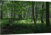 WallClassics - Dibond - Verschillende Groene Bomen in Bos - 150x100 cm Foto op Aluminium (Met Ophangsysteem)