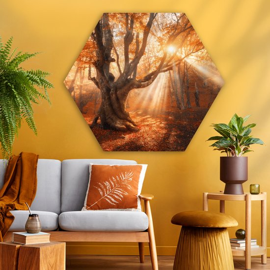 Décoration murale Hexagone - Décoration murale Plastique - Peinture Hexagone - Arbre - Nature - Automne - 120x103 cm