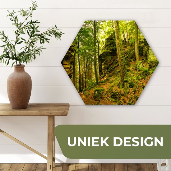 Décoration murale Hexagone - Décoration murale Plastique - Peinture Hexagone - Arbres - Pierre - Forêt - Nature - Plantes - 75x65 cm