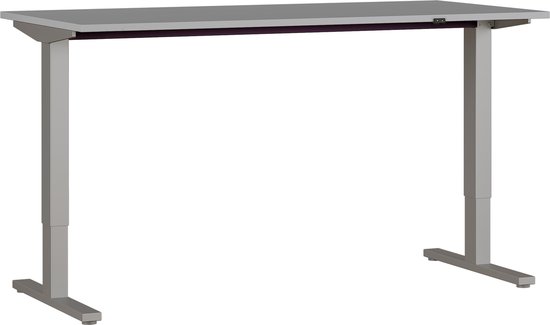 Elektrisch Bureau Ergonoma Grijs Zilver - 160x80cm - Hoogte 73 cm - In hoogte verstelbaar