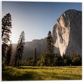 WallClassics - Panneau en mousse PVC - Champ ouvert et forêt le long d'une très haute Berg - Photo 50x50 cm sur panneau en mousse PVC (avec système d'accrochage)
