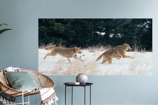 Stickers muraux - Loup - Arbre - Animaux - 120x60 cm - Film adhésif