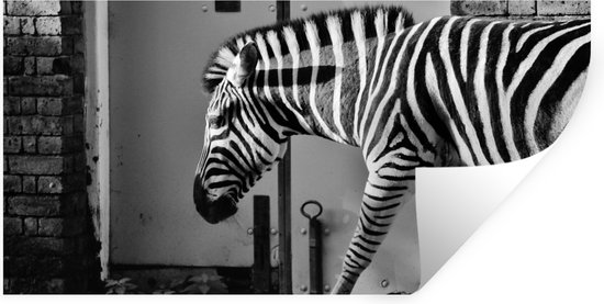 Muurstickers - Sticker Folie - Zebra - Muur - Deur - Dieren - Zwart wit - 160x80 cm - Plakfolie - Muurstickers Kinderkamer - Zelfklevend Behang - Zelfklevend behangpapier - Stickerfolie