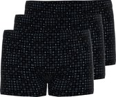 Ammann Lot de 3 shorts / pantalons rétro pour hommes New Modern - Cotton- Modal