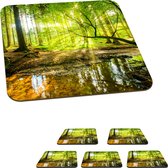 Onderzetters voor glazen - Bos - Landschap - Water - Bomen - Zon - Groen - Natuur - 10x10 cm - Glasonderzetters - 6 stuks