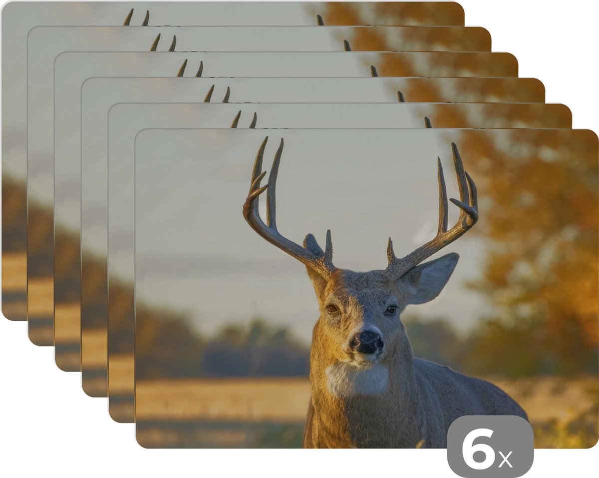 Placemat - Placemats kunststof - Hert - Gras - Herfst - Gewei - Natuur - Dieren - 45x30 cm - 6 stuks - Hittebestendig - Anti-Slip - Onderlegger - Afneembaar