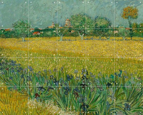 IXXI Veld met irissen bij Arles - Vincent van Gogh - Wanddecoratie - 80 x 100 cm