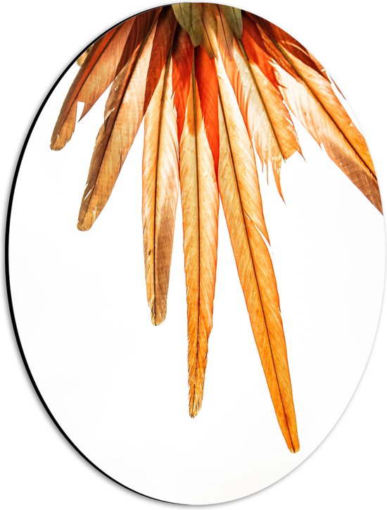 WallClassics - Dibond Ovaal - Oranje Veren van Vogel - 30x40 cm Foto op Ovaal (Met Ophangsysteem)
