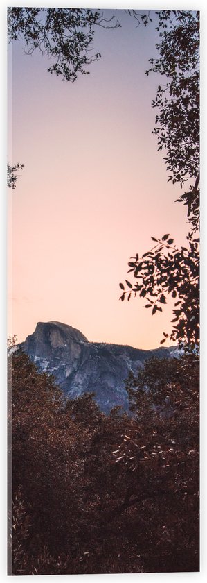 WallClassics - Verre Acrylique - Berg entre les Cimes des Arbres - 20x60 cm Photo sur Verre Acrylique (Avec Système d'accrochage)
