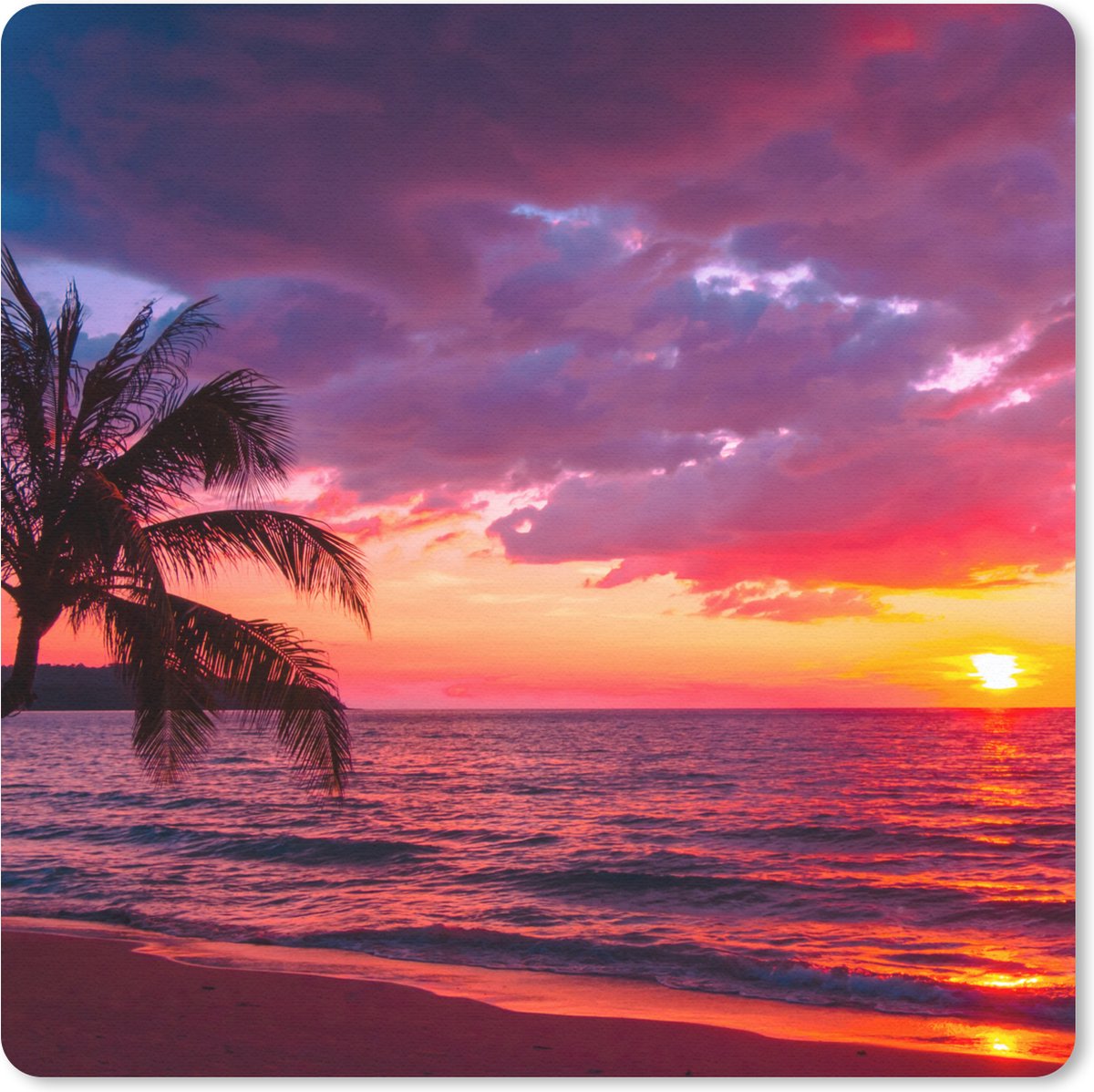 Muismat 30x30 cm - Mousepad Zon - Horizon - Roze - Palmboom - Zee - Muismatten