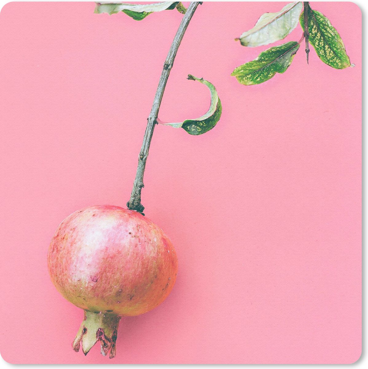 Muismat 30x30 cm - Mousepad Planten - Zomer - Roze - Muismatten