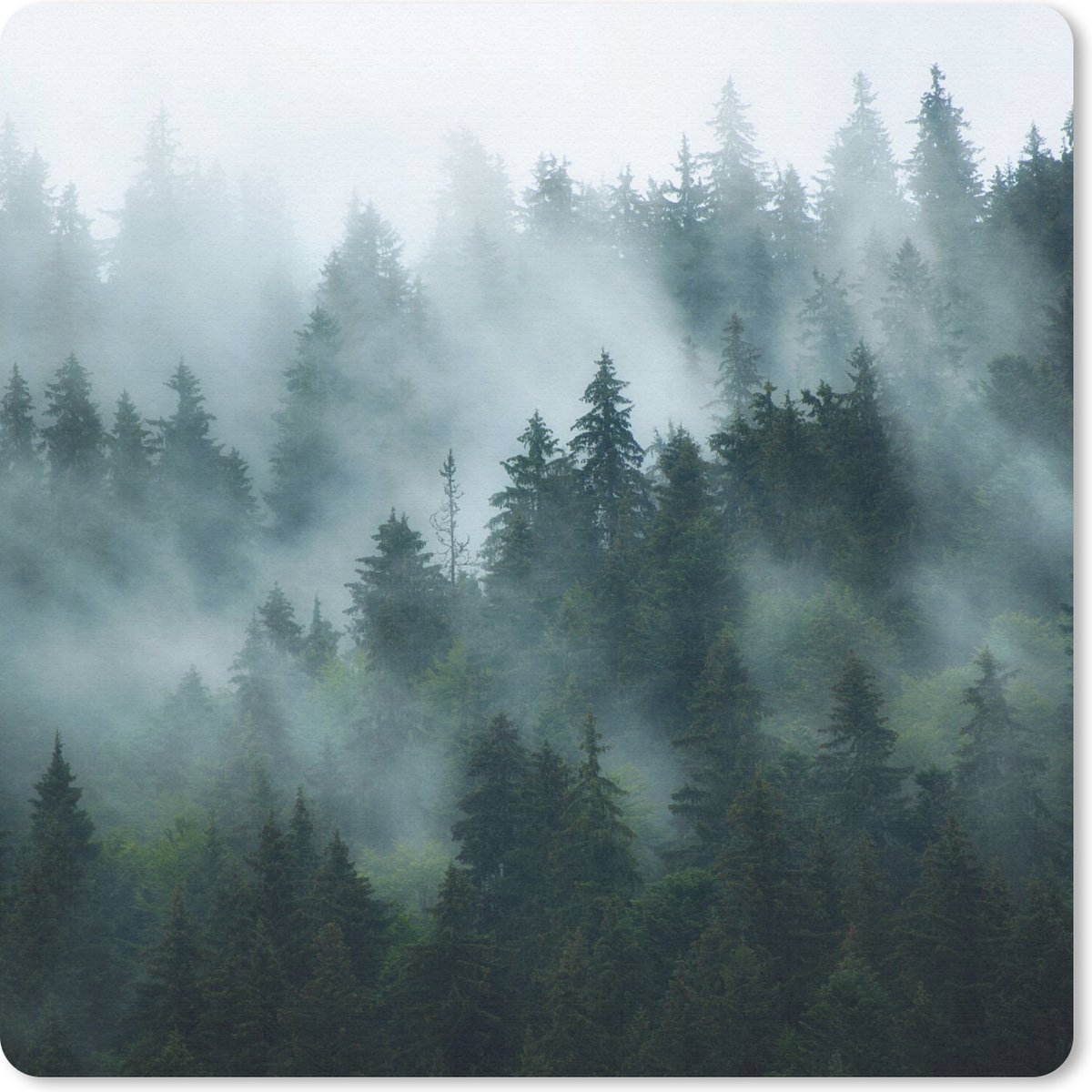 Muismat 20x20 cm - Mousepad Mist - Bomen - Bos - Muismatten
