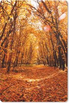 Muismat - Mousepad - Herfst - Bos - Bladeren - Seizoenen - 18x27 cm - Muismatten
