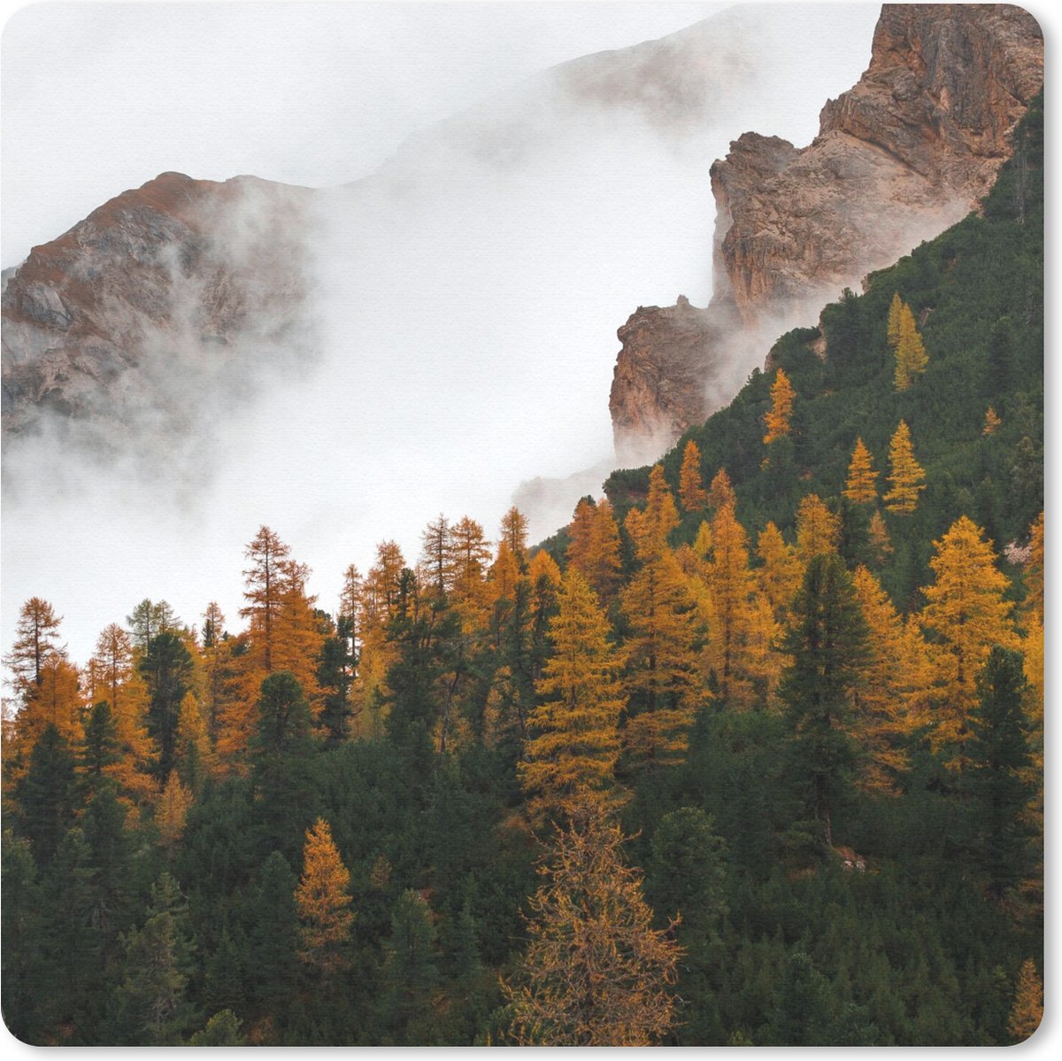 Muismat 30x30 cm - Mousepad Dennenboom - Herfst - Berg - landschap - Muismatten