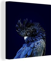 Canvas Schilderij Blauw gekleurde kaketoe met een donkere achtergrond - 90x90 cm - Wanddecoratie