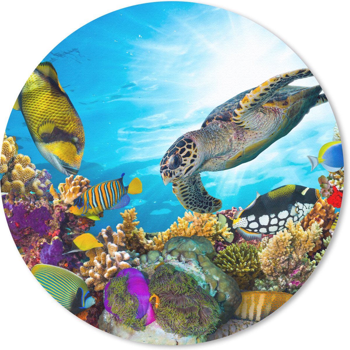 Muismat rond 30x30 cm - Mousepad Schildpad - Zee - Koraal - Ronde muismatten
