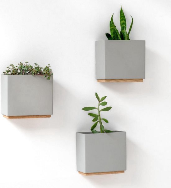 Purzest 6 stuks vetplanten voor aan de muur, keramische plantenbakhouder, decoratieve hangende plantenpotten, bloemenvaas voor binnen, buiten (moderne kleur