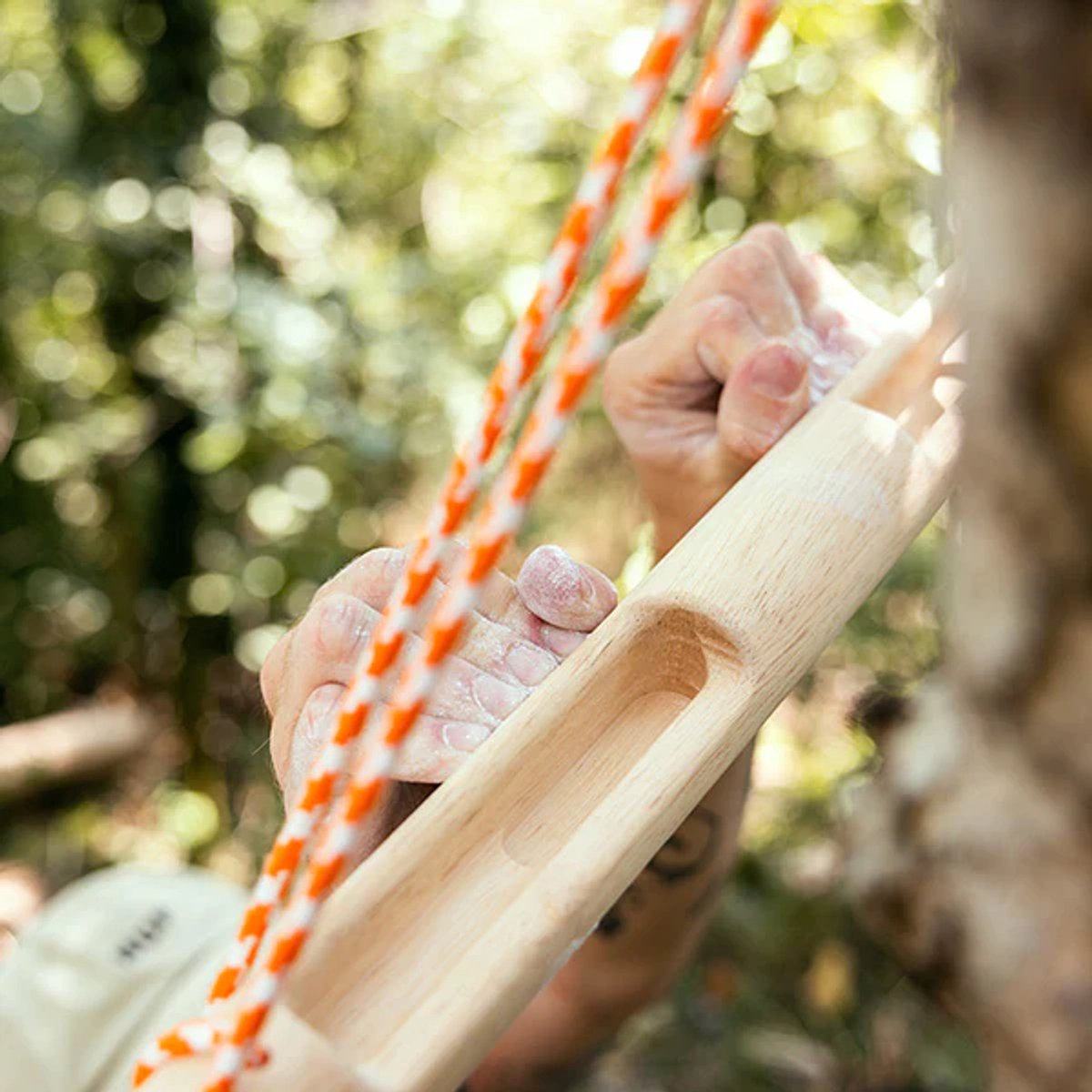 YY Vertical - Het originele Baguette Evo Klimbord van hout voor rotsklimmen, ideaal voor thuistraining, past op optrekstang, versterk uw vingers