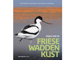 Vogels van de Friese Waddenkust