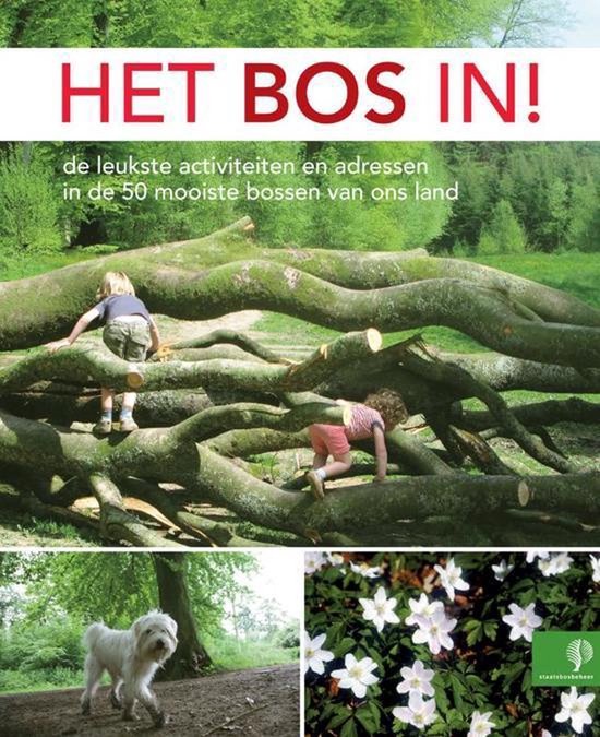 Twee kinderen klimmen op dikke boomstammen in een bos. Kleine witte hond. Witte bosanemoonbloemen.