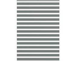 vidaXL - Zebra - rolgordijn - 165x200 - cm - stofbreedte - 160,9 - cm - donkergrijs