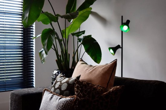 Zwart armatuur met twee groene lampen boven een bank met sierkussens, naast een grote plant.