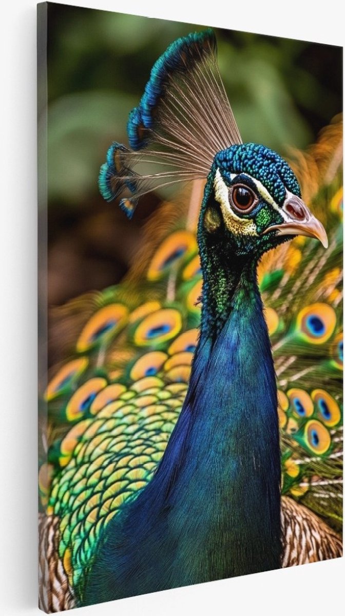 Saammp Canvas Schilderij - Pauw portret - Natuur - Dieren - 20x30 - Foto op canvas - Wanddecoratie - Muurdecoratie Woonkamer - Slaapkamer decoratie - Canvas Print Multicolor