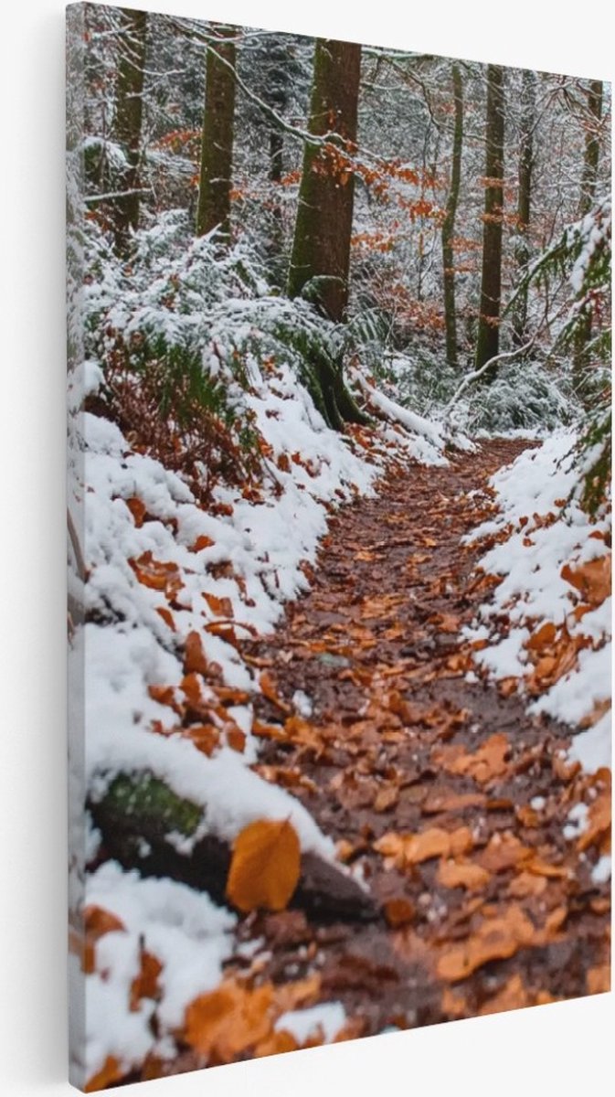 Saammp Canvas Schilderij - Natuur - Winter - Bospad - landschappen - 20x30 - Foto op canvas - Wanddecoratie - Muurdecoratie Woonkamer - Slaapkamer decoratie - Canvas Print Multicolor