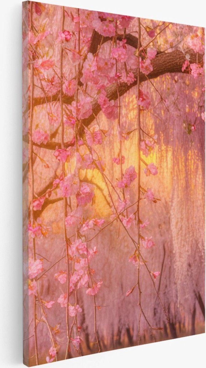 Saammp Canvas Schilderij - Roze bloesem met zonsondergang - Natuur - Landschap - 40x60 - Foto op canvas - Wanddecoratie - Muurdecoratie Woonkamer - Slaapkamer decoratie - Canvas Print Multicolor