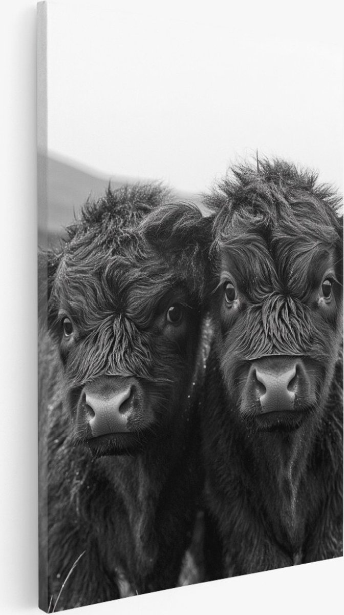 Saammp - Canvas Schilderij - 2 Baby Schotse Hooglander Koeien - Natuur - Dieren - 40x50 - Foto op canvas - Wanddecoratie - Muurdecoratie Woonkamer - Slaapkamer decoratie - Canvas Print
