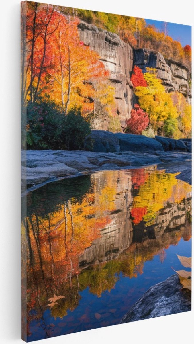 Saammp Canvas Schilderij - Blad op steen - Landschap - Natuur - 60x90 - Foto op canvas - Wanddecoratie - Muurdecoratie Woonkamer - Slaapkamer decoratie - Canvas Print Multicolor
