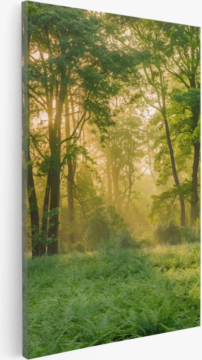 Saammp Canvas Schilderij - bos - Grote Bomen - Landschap - Natuur - 30x45 - Foto op canvas - Wanddecoratie - Muurdecoratie Woonkamer - Slaapkamer decoratie - Canvas Print Multicolor