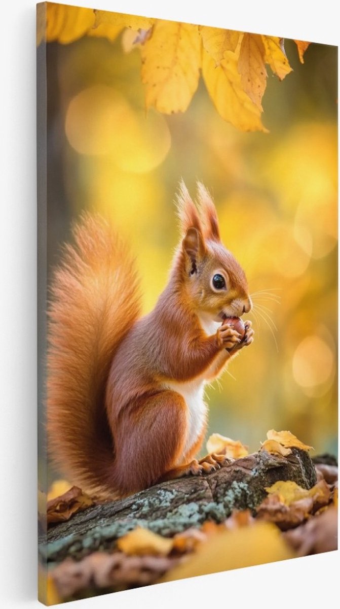 Saammp Canvas Schilderij - Eekhoorn met noot - Dieren - Natuur - 40x50 - Foto op canvas - Wanddecoratie - Muurdecoratie Woonkamer - Slaapkamer decoratie - Canvas Print Multicolor