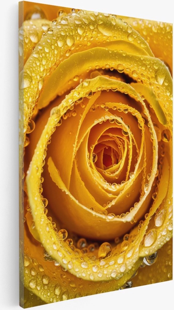 Saammp Canvas Schilderij - bloemen - Gele Roos - 80x120 - Foto op canvas - Wanddecoratie - Muurdecoratie Woonkamer - Kantoor Decoratie Multicolor