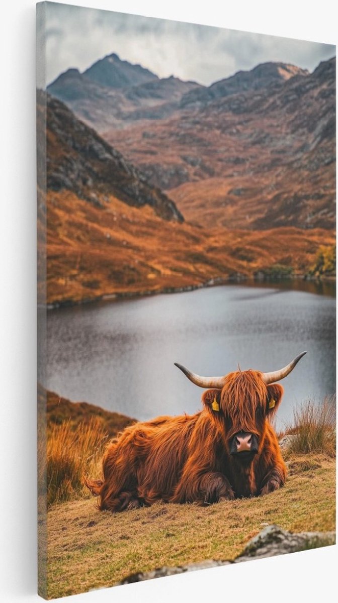 Saammp Canvas Schilderij - Koe - Schotse Hooglander - Dieren - Natuur - 100x150 - Foto op canvas - Wanddecoratie - Muurdecoratie Woonkamer - Slaapkamer decoratie - Canvas Print Multicolor