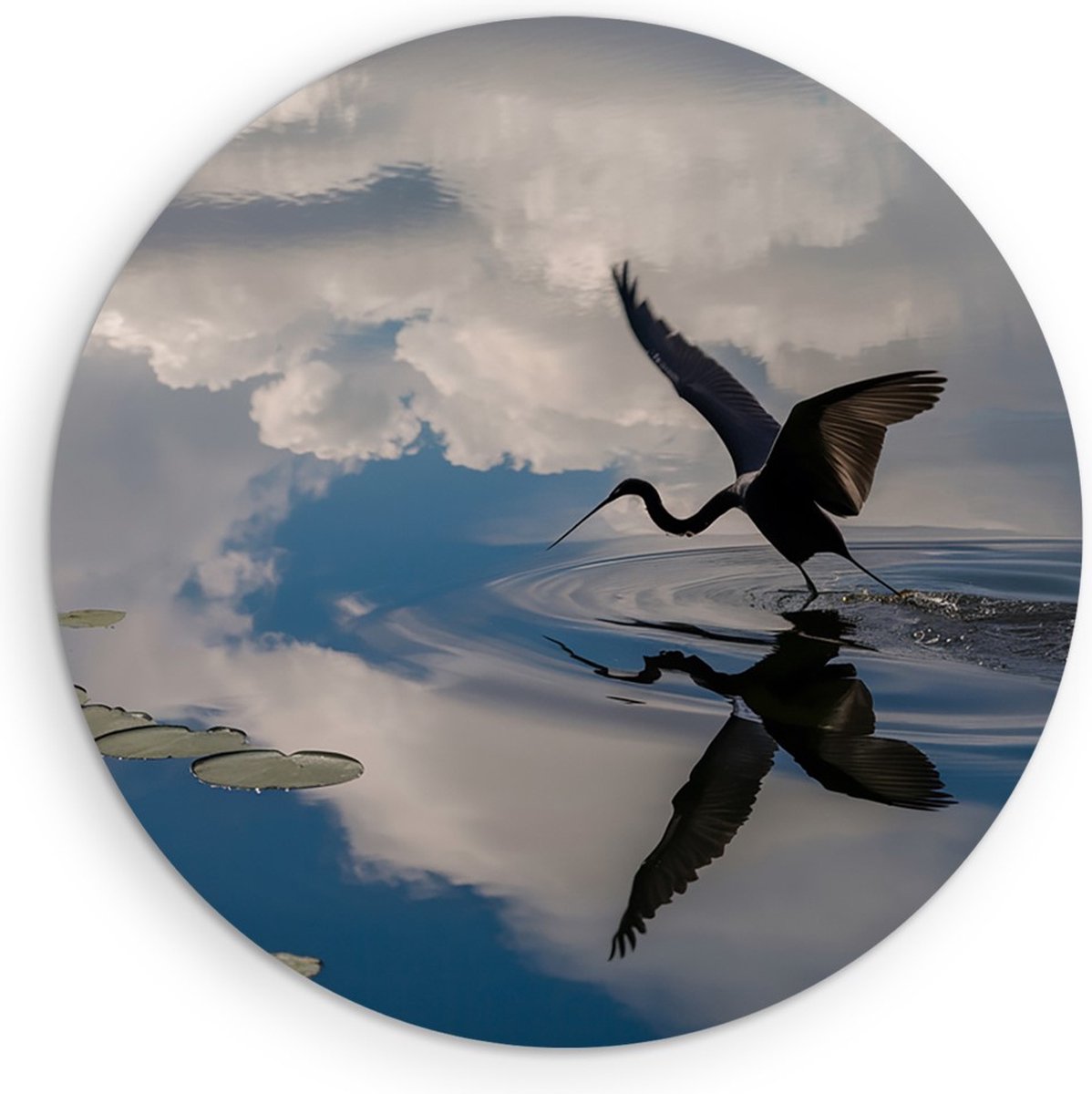 Saammp Forex Muurcirkel - Reiger - Dieren - Bloemen - Ø 90 - Wandcirkel - Wanddecoratie Cirkel - muurdecoratie Woonkamer - Slaapkamer decoratie - Rond Schilderij