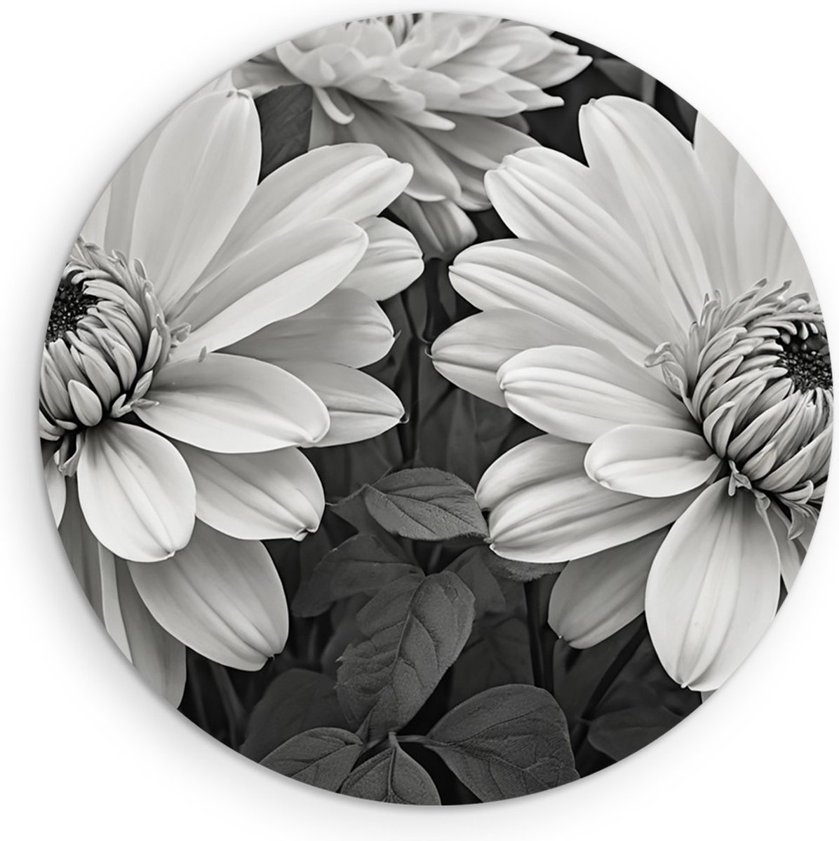 Saammp Forex Muurcirkel - Zwart witte Bloemen - Natuur - Abstract - Ø 40 - Wandcirkel - Wanddecoratie Cirkel - Muurdecoratie Woonkamer - Kantoor Decoratie