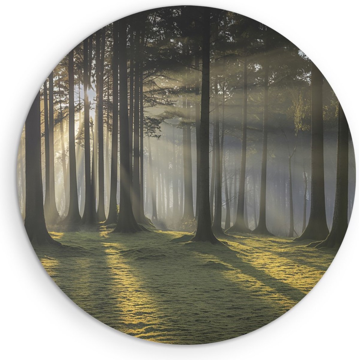 Saammp Forex Muurcirkel - Lichtval - Grote Bomen - Landschap - Natuur - Ø 40 - Wandcirkel - Wanddecoratie Cirkel - Muurdecoratie Woonkamer - Slaapkamer decoratie - Rond Schilderij