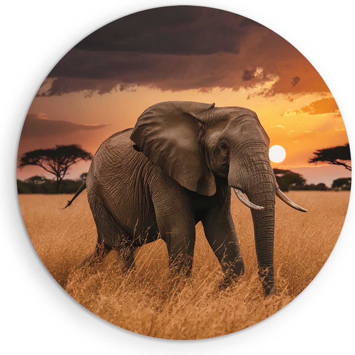 Saammp Muurcirkel Hout - olifant in de Natuur - Afrika - Dieren - Ø 50 - Wandcirkel - Wanddecoratie Cirkel - muurdecoratie Woonkamer - Slaapkamer decoratie - Rond Schilderij