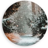 Saammp Forex Muurcirkel - Botanisch - Winterpad - Herfstachtig - Landschap - Natuur - Ø 70 - Wandcirkel - Wanddecoratie Cirkel - Muurdecoratie Woonkamer - Slaapkamer decoratie - Rond Schilderij