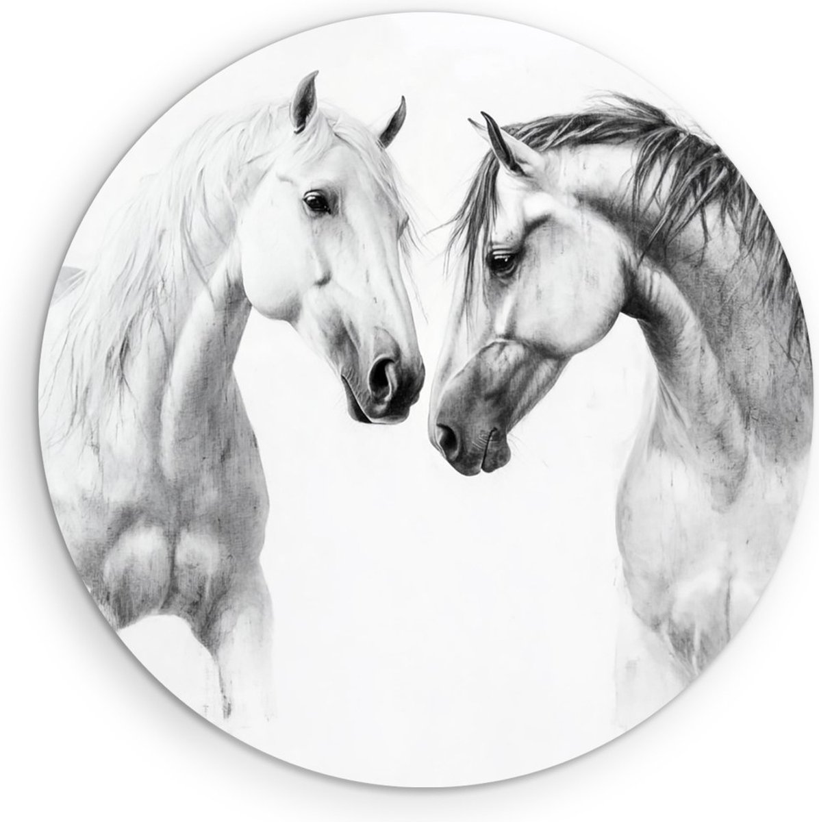 Saammp Forex Muurcirkel - 2 Paarden - Kunst - Dieren - Natuur - Ø 80 - Wandcirkel - Wanddecoratie Cirkel - muurdecoratie Woonkamer - Slaapkamer decoratie - Rond Schilderij