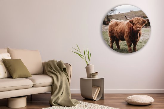 Saammp Cercle Mural Bois - Groupe Vaches Highlander Écossaises sur les hautes terres - Animaux - Nature - Ø 60 - Cercle Mural - Cercle Décoration murale - Décoration Murale Salon - Décoration Chambre - Tableau Rond