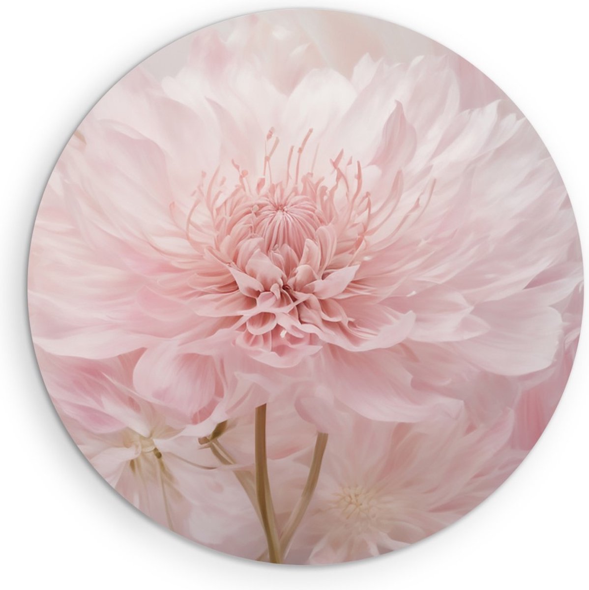 Saammp Forex Muurcirkel - 2 Grote Roze bloemen - Abstract - Ø 50 - Wandcirkel - Wanddecoratie Cirkel - Muurdecoratie Woonkamer - Kantoor Decoratie