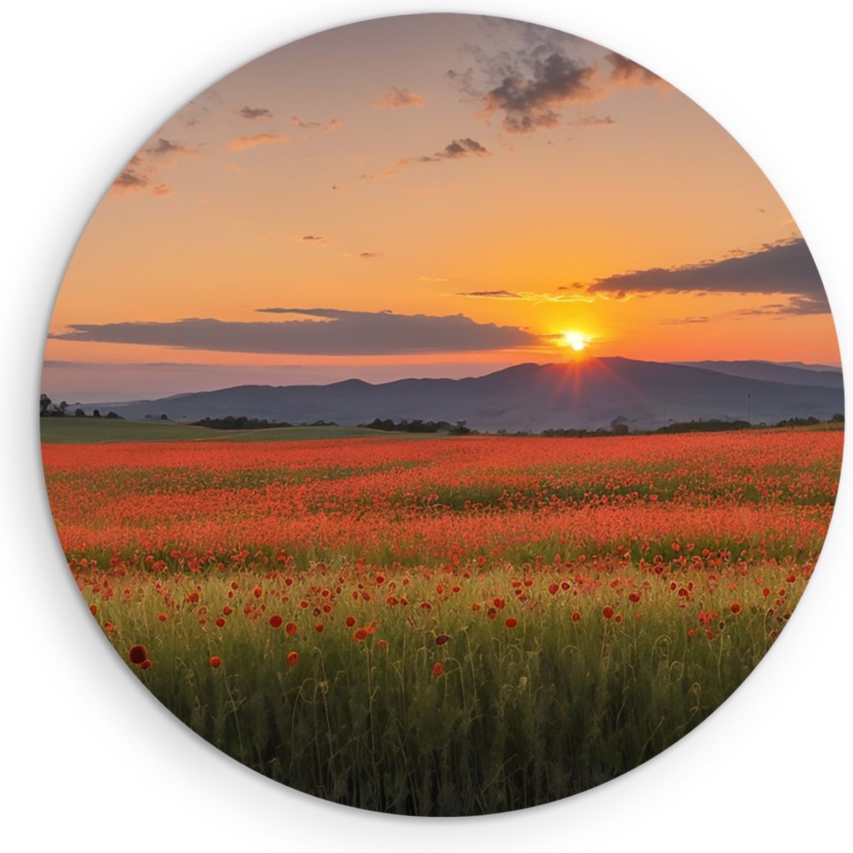 Saammp Muurcirkel Hout - Rood bloemenveld met bergachtig landschap - Natuur - Ø 30 - Wandcirkel - Wanddecoratie Cirkel - Muurdecoratie Woonkamer - Slaapkamer decoratie - Rond Schilderij