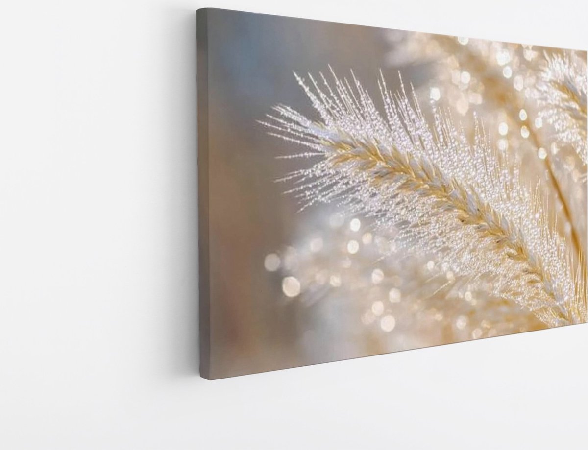 Saammp Canvas Schilderij - Rietpluimen in Winterlicht - Glinsterende Natuur - Foto op canvas - Wanddecoratie - Scandinavisch Design - 90x60 Multicolor