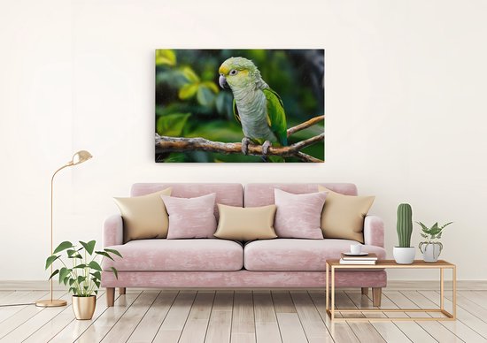 Tableau sur toile Saammp - Perroquet - Nature - Animaux - 120x80 - Photo sur toile - Décoration murale - Décoration murale murale Salon - Décoration chambre - Impression sur toile