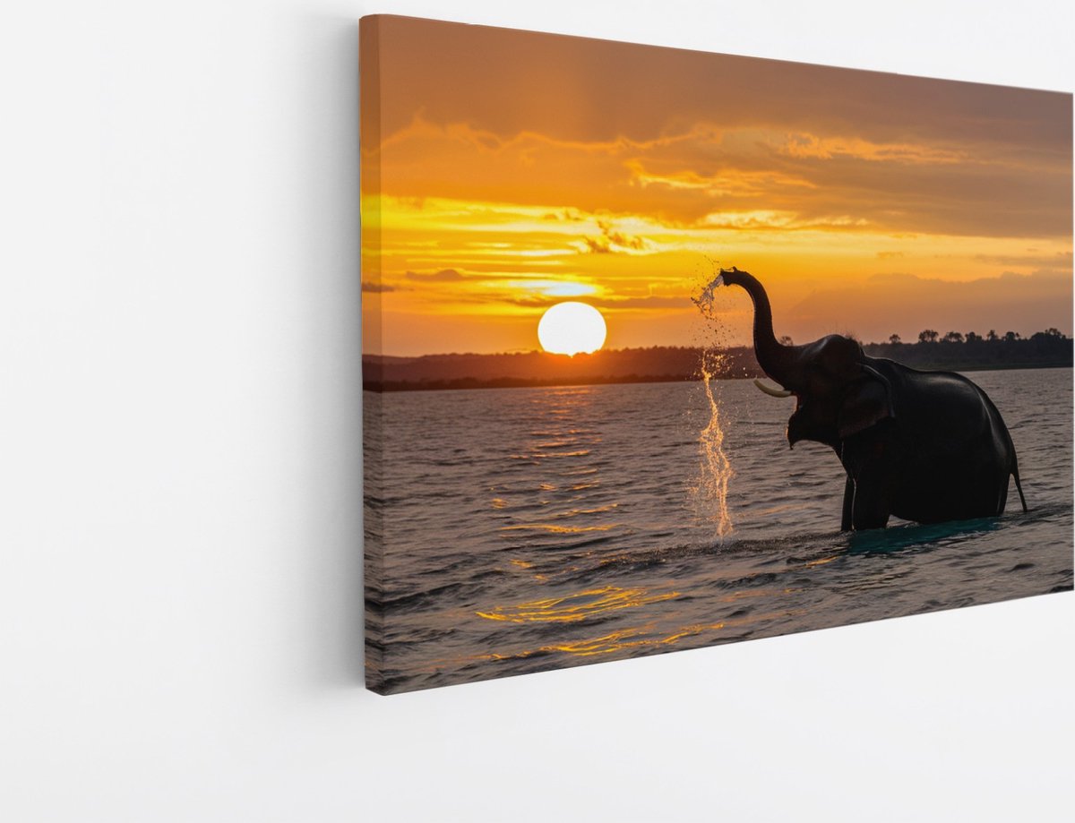 Saammp Canvas Schilderij - Spelende Olifant in het water - Dieren - 30x20 - Foto op canvas - Wanddecoratie - muurdecoratie Woonkamer - Slaapkamer decoratie - Canvas Print Multicolor