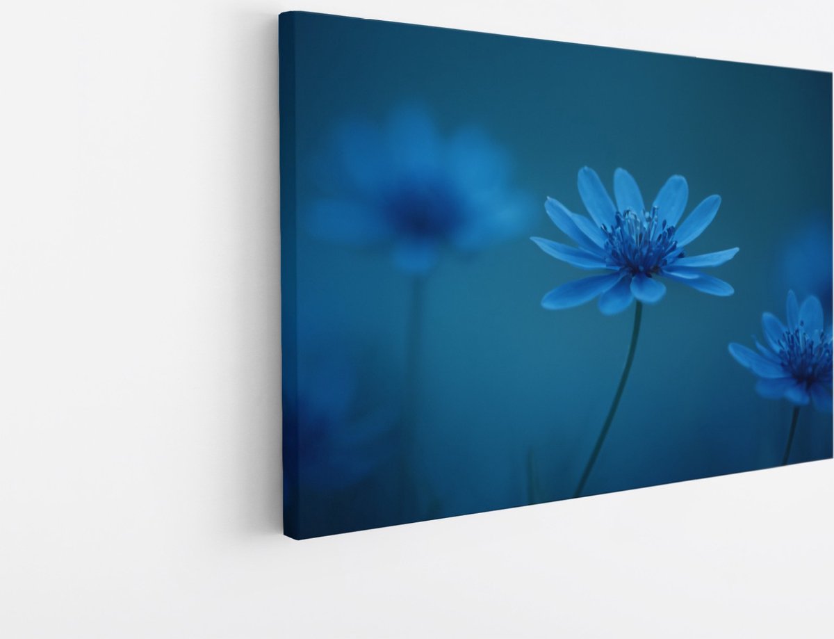 Saammp Canvas Schilderij - Blauwe Bloemen Mystiek - Natuur - Abstract - 50x40 - Foto op canvas - Wanddecoratie - Muurdecoratie Woonkamer - Kantoor Decoratie Multicolor